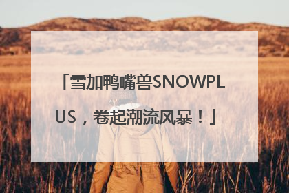 雪加鸭嘴兽SNOWPLUS，卷起潮流风暴！