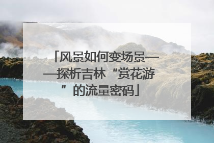 风景如何变场景——探析吉林“赏花游”的流量密码