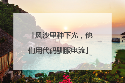 风沙里种下光，他们用代码驯服电流