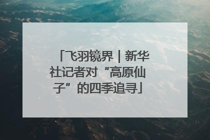 飞羽镜界｜新华社记者对“高原仙子”的四季追寻