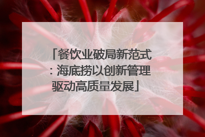 餐饮业破局新范式：海底捞以创新管理驱动高质量发展