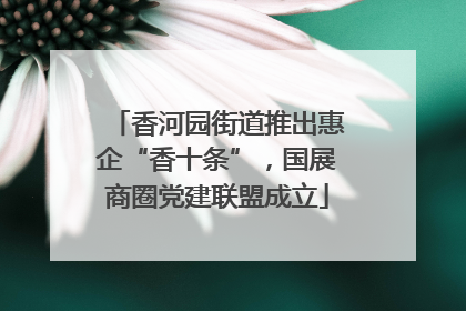 香河园街道推出惠企“香十条”，国展商圈党建联盟成立