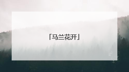 马兰花开