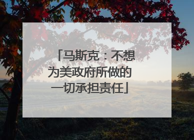马斯克：不想为美政府所做的一切承担责任