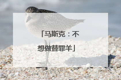 马斯克：不想做替罪羊