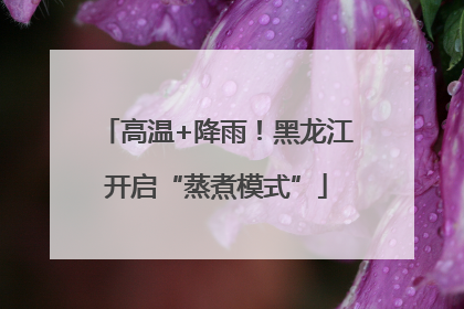 高温+降雨！黑龙江开启“蒸煮模式”