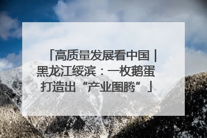 高质量发展看中国｜黑龙江绥滨：一枚鹅蛋打造出“产业图腾”