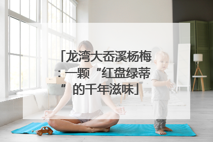 龙湾大岙溪杨梅：一颗“红盘绿蒂”的千年滋味