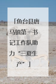 鱼台县唐马镇第一书记工作队助力“三夏生产”
