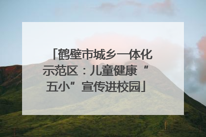 鹤壁市城乡一体化示范区：儿童健康“五小”宣传进校园