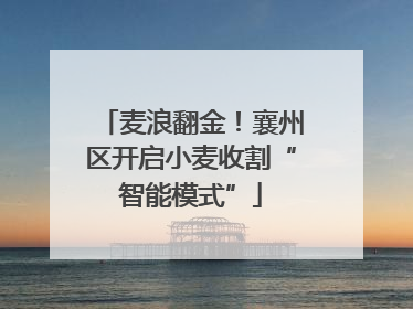 麦浪翻金！襄州区开启小麦收割“智能模式”