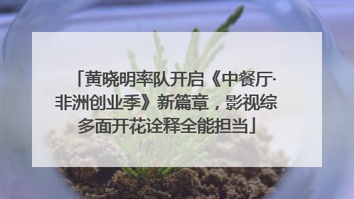 黄晓明率队开启《中餐厅·非洲创业季》新篇章，影视综多面开花诠释全能担当