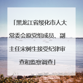 黑龙江省绥化市人大常委会原党组成员、副主任宋树生接受纪律审查和监察调查