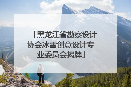 黑龙江省勘察设计协会冰雪创意设计专业委员会揭牌