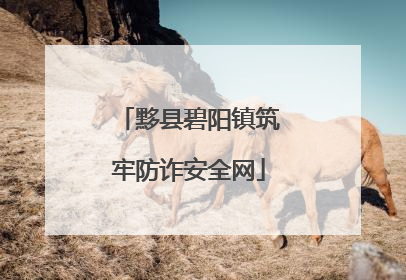黟县碧阳镇筑牢防诈安全网