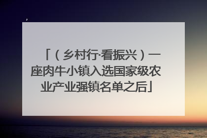 （乡村行·看振兴）一座肉牛小镇入选国家级农业产业强镇名单之后