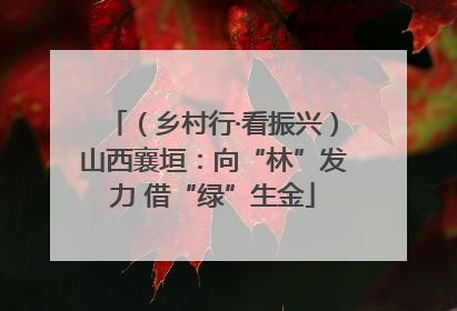 （乡村行·看振兴）山西襄垣：向“林”发力 借“绿”生金