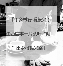 （乡村行·看振兴）江西信丰一片茶叶“沏”出乡村振兴路