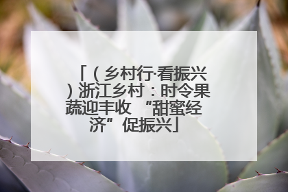 （乡村行·看振兴）浙江乡村：时令果蔬迎丰收 “甜蜜经济”促振兴