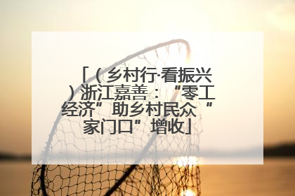 （乡村行·看振兴）浙江嘉善：“零工经济”助乡村民众“家门口”增收