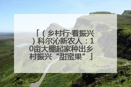 （乡村行·看振兴）科尔沁新农人：10亩大棚起家种出乡村振兴“甜蜜果”