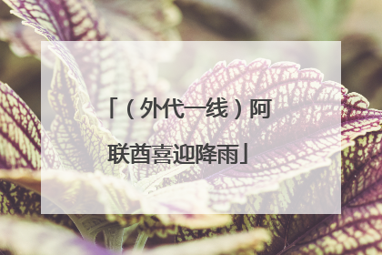 （外代一线）阿联酋喜迎降雨