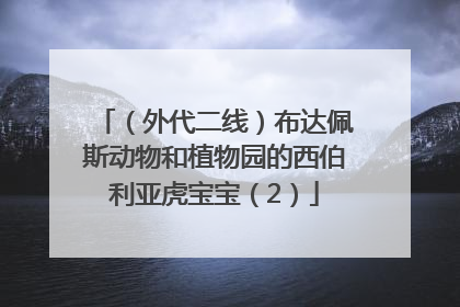 （外代二线）布达佩斯动物和植物园的西伯利亚虎宝宝（2）