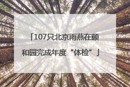 107只北京雨燕在颐和园完成年度“体检”