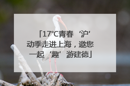 17℃青春‘沪’动季走进上海，邀您一起‘趣’游建德