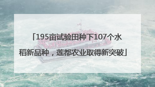 195亩试验田种下107个水稻新品种，莲都农业取得新突破