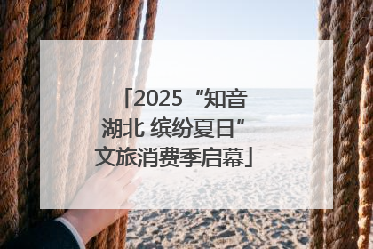 2025“知音湖北 缤纷夏日”文旅消费季启幕