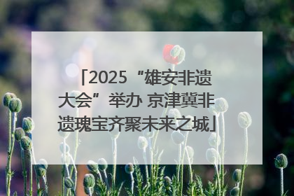 2025“雄安非遗大会”举办 京津冀非遗瑰宝齐聚未来之城