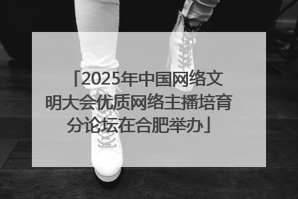 2025年中国网络文明大会优质网络主播培育分论坛在合肥举办