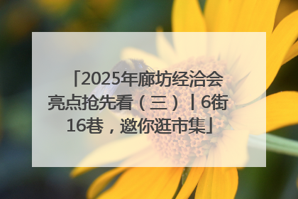 2025年廊坊经洽会亮点抢先看（三）丨6街16巷，邀你逛市集