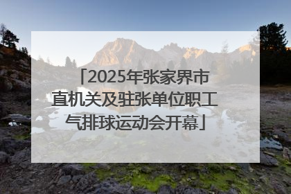 2025年张家界市直机关及驻张单位职工气排球运动会开幕