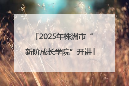 2025年株洲市“新阶成长学院”开讲