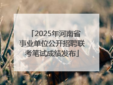 2025年河南省事业单位公开招聘联考笔试成绩发布