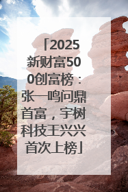 2025新财富500创富榜：张一鸣问鼎首富，宇树科技王兴兴首次上榜