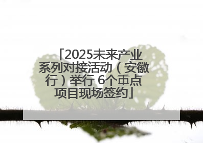 2025未来产业系列对接活动（安徽行）举行 6个重点项目现场签约