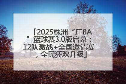 2025株洲“厂BA”篮球赛3.0版启幕：12队激战+全国邀请赛，全民狂欢升级