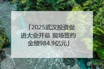 2025武汉投资促进大会开幕 现场签约金额984.9亿元