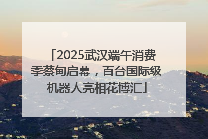 2025武汉端午消费季蔡甸启幕，百台国际级机器人亮相花博汇