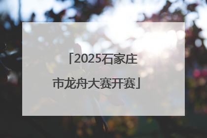 2025石家庄市龙舟大赛开赛