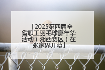 2025第四届全省职工羽毛球嘉年华活动（湘西赛区）在张家界开幕