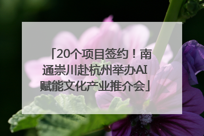 20个项目签约！南通崇川赴杭州举办AI赋能文化产业推介会