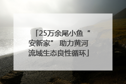 25万余尾小鱼“安新家” 助力黄河流域生态良性循环