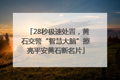 28秒极速处置，黄石交警“智慧大脑”擦亮平安黄石新名片