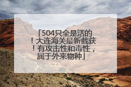 504只全是活的！大连海关最新截获！有攻击性和毒性，属于外来物种