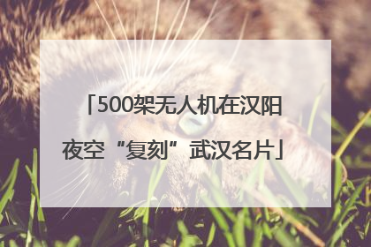 500架无人机在汉阳夜空“复刻”武汉名片