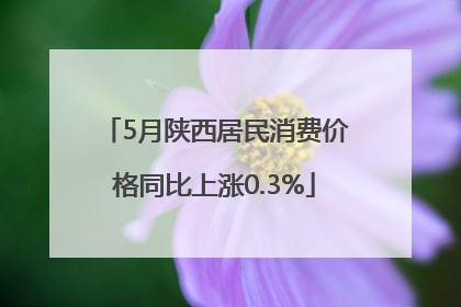 5月陕西居民消费价格同比上涨0.3%